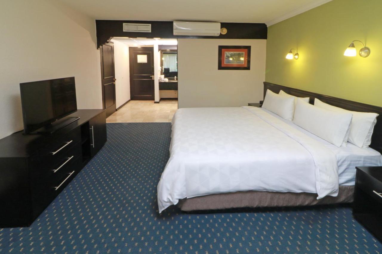 Holiday Inn San Luis Potosi-Quijote By Ihg Экстерьер фото